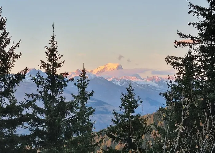 The Little Refuge Of Apartment